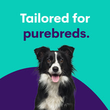 Load image into Gallery viewer, Purebred Dog Full Breed Profile

