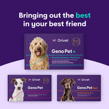 Load image into Gallery viewer, Geno Pet +  (Breed + Health Kit)
