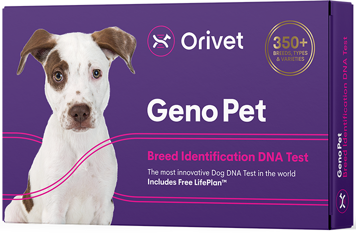 Geno Pet Dog Breed Identification DNA test